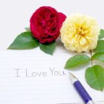 Who Plays Sean in Shotgun Wedding WHO PLAYS SEAN IN SHOTGUN WEDDING - Actor portraying Sean in Shotgun Wedding, starring Jennifer Lopez