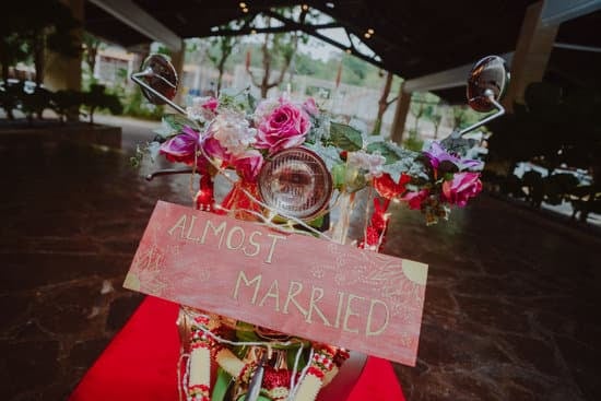 How Much Did Sofia Richie Wedding Cost 1 How Much Did Sofia Richie Wedding Cost: A Lavish Affair Fit for Royalty