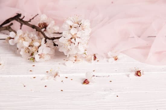 De Young Museum Wedding Cost 17 Affordable De Young Museum wedding venue prices for a memorable celebration