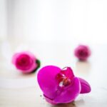 Indoor Wedding Ceremony Romantic indoor wedding ceremony with elegant decorations and beautiful lighting