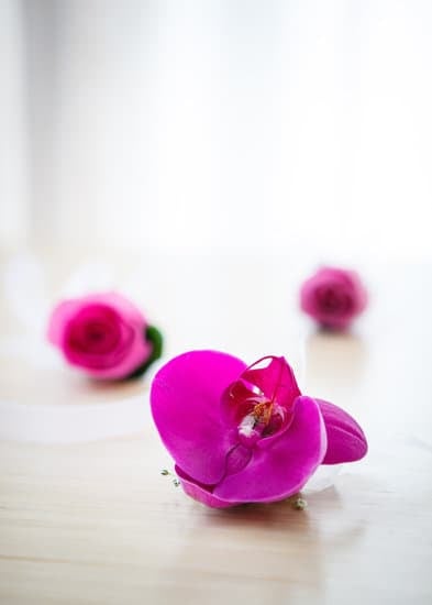 Indoor Wedding Ceremony 1 wedding 1343