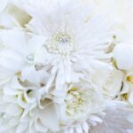 Who Plans a Wedding WHO PLANS A WEDDING: Organized bride balancing a calendar and checklist