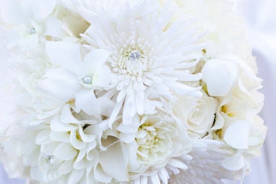 WHO PLANS A WEDDING: Organized bride balancing a calendar and checklist