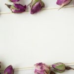 How to Announce a Private Wedding How to Announce a Private Wedding: Celebrating with Loved Ones in a Closed Ceremony