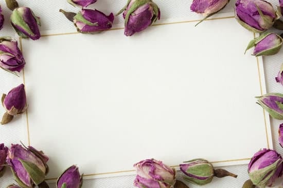 How to Announce a Private Wedding 1 How to Announce a Private Wedding: Celebrating with Loved Ones in a Closed Ceremony