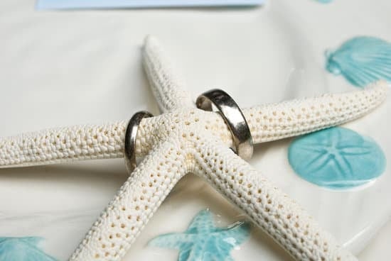 How Much Are Wedding Tent Rentals 7 How Much Are Wedding Tent Rentals: Affordable Options for Your Special Day