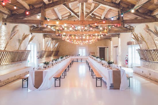 How to Keep Bulk Flowers Fresh for Wedding 1 How to Keep Bulk Flowers Fresh for Wedding: Expert Tips and Tricks