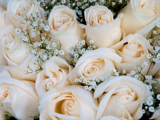Who Pays for the Wedding in Different Cultures 1 Wedding traditions - Who pays for the wedding in different cultures