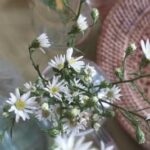 Learn how to capture your own special day with DIY Wedding Videography tips and techniques