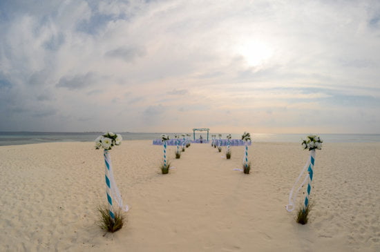 How Much Does a Pastor Cost for Wedding 1 How much does a pastor cost for wedding: Affordable wedding officiant services for your special day