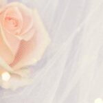 What Hand Does a Male Wedding Ring Go On Male wedding ring traditionally goes on the left hand's ring finger