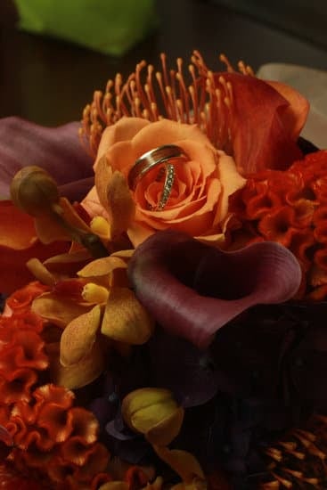 Do They Pay for the Wedding on Love Is Blind 1 Love is Blind: Who Pays for the Wedding