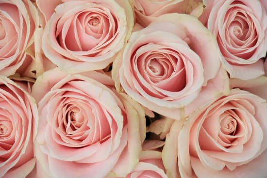 Why Is Kourtney Mad at Kim for Wedding 17 Kourtney upset with Kim for wedding seating