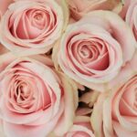 Is an Engagement Ring the Same as a Wedding Ring Engagement ring vs. wedding ring: understanding the key differences
