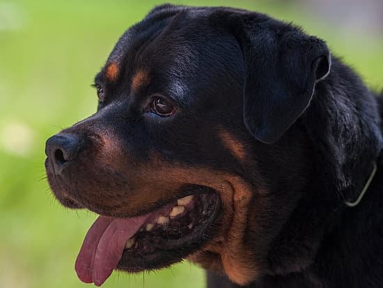 How to celebrate 23rd wedding anniversary: Revisit honeymoon destination, renew vows, and throw a big party