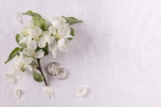 First Dance Timing: When to do First Dance at Wedding