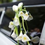 Which One Is Wedding Ring Finger Close-up of left hand with WHICH ONE IS WEDDING RING FINGER highlighted