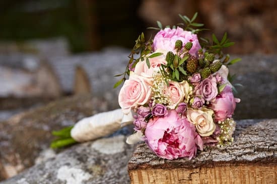 MTV-sponsored wedding: Mike and Lauren's special day paid for by MTV