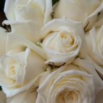 Inviting you to celebrate the wedding of [Couple's Names]. Parents of [Bride's Name] and [Groom's Name] Mr. and Mrs. [Parent's Last Name]