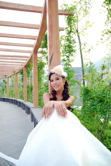 How to wish wedding wishes: heartfelt messages, quotes, and ideas for the special day