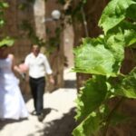 How to Buy Beer and Wine for a Wedding Guide on how to buy beer and wine for a wedding: tips and recommendations for a perfect selection