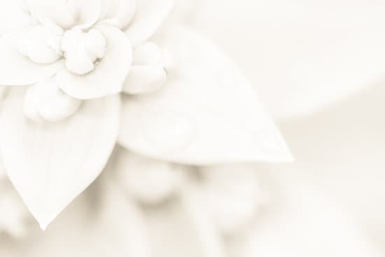 What Does Groom Do Morning of Wedding 1 What Does Groom Do Morning of Wedding: Groom preparing, reflecting, and enjoying time with groomsmen