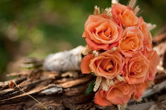 How Much Is the Civil Wedding in the Philippines 11 How much a civil wedding in the Philippines cost