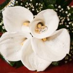 How Much Per Person for Wedding Reception How much to budget per person for wedding reception costs