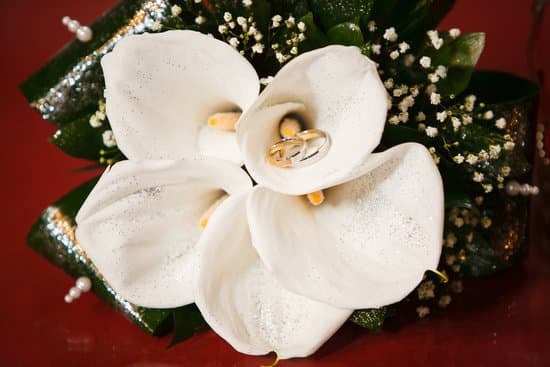 How much to budget per person for wedding reception costs