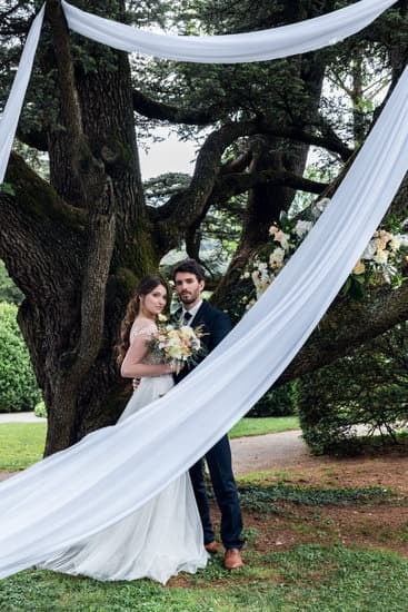 find quality options online or at local specialty shops