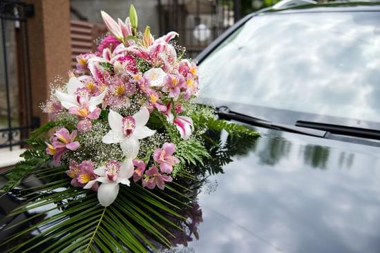 Who Can Officiate a Wedding in Pa 1 Choosing the right person to officiate a wedding in Pennsylvania