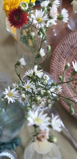 Romantic Beverly Hills Wedding Venue with stunning views and luxury services