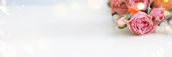 Step-by-step guide on how to mail wedding invitations with proper postage and addresses