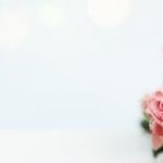 How Much Are Wedding Invitations for 150 Guests Affordable wedding invitation pricing for 150 guests