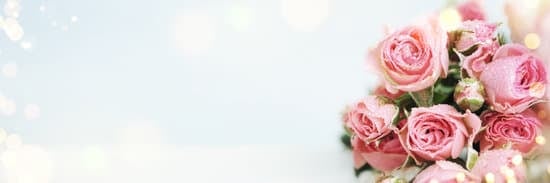 How Many Wedding Photos Should I Get - A Guide to Choosing the Perfect Number for Your Big Day