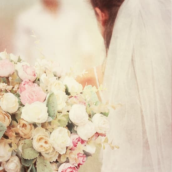 Big Fat Greek Wedding playing at nearest theater. Check showtimes for WHERE IS MY BIG FAT GREEK WEDDING