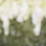 Definition, Requirements, and Process explained in detail for clarity