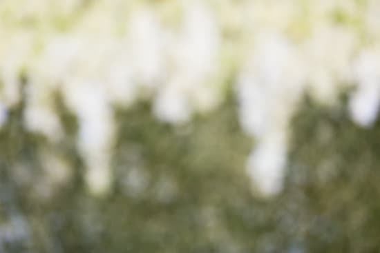 What'S a Civil Wedding 1 Definition, Requirements, and Process explained in detail for clarity