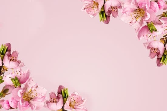 What to Wear for Semi Formal Wedding 1 what to wear for the special occasion