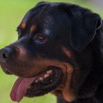 Special Wedding Gifts Elegant custom jewelry for SPECIAL WEDDING GIFTS that will be cherished forever