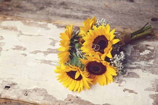 Elegant updo for wedding guest hair