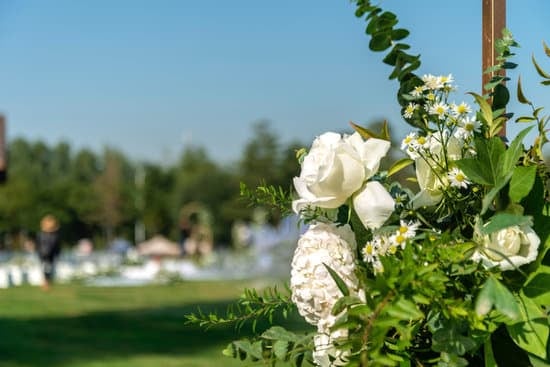 How Many Hours Is a Wedding 1 How many hours does a wedding typically last