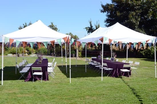 What Is a Personal Attendant in a Wedding 1 What is a personal attendant in a wedding