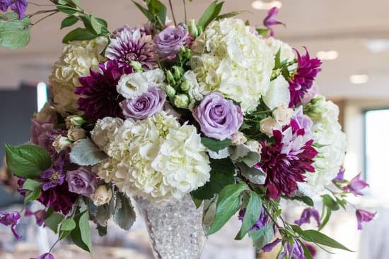 Sarah Ritchie Weddings 3 Experience the magic of SARAH RITCHIE WEDDINGS - stunning venues, impeccable service, unforgettable celebrations