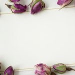Beautiful floral design for Wedding Anniversary Invitation with elegant script font