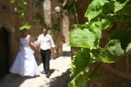 White Wedges Wedding 1 White wedges perfect for a wedding, fashionable and comfortable for your special day