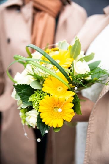 Raining on Wedding Day Meaning 17 Raining on wedding day meaning signifies luck, love, and new beginnings