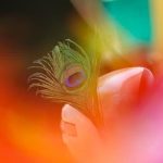 DO YOU BRING A GIFT A thoughtful present enhances the celebration