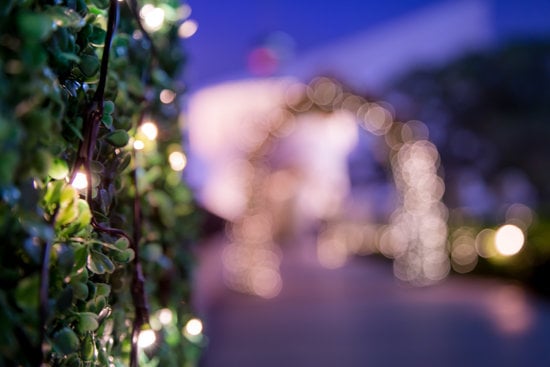 Garden Wedding Attire 3 Chic and stylish fashion ideas for your garden wedding attire