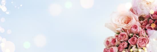 Elegant lace wedding dress with intricate beading and floral appliques